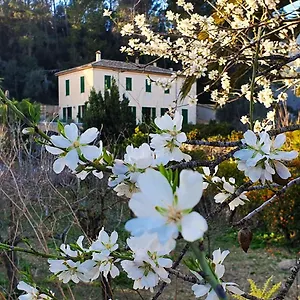  Lantställe Sa Maniga Spanien